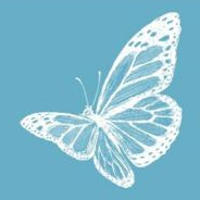 Logo de uma borboleta